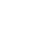 Chamanik